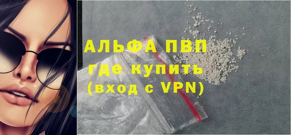 индика Дмитровск