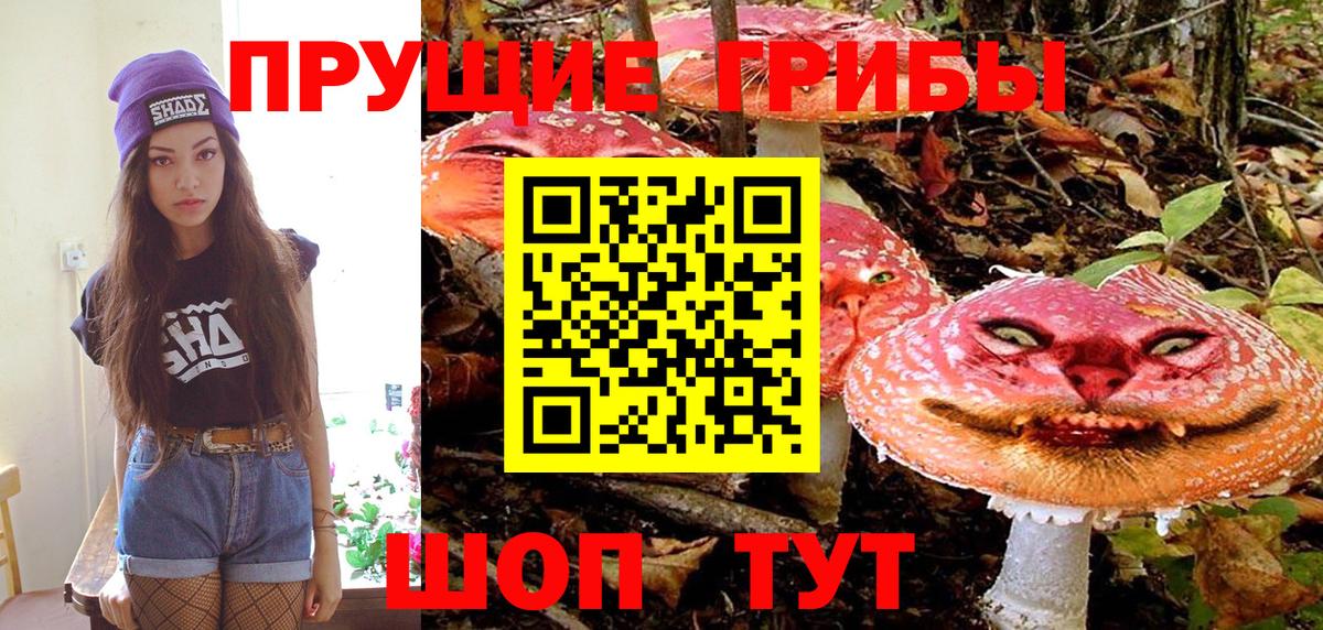 Галлюциногенные грибы ЛСД Солнечногорск