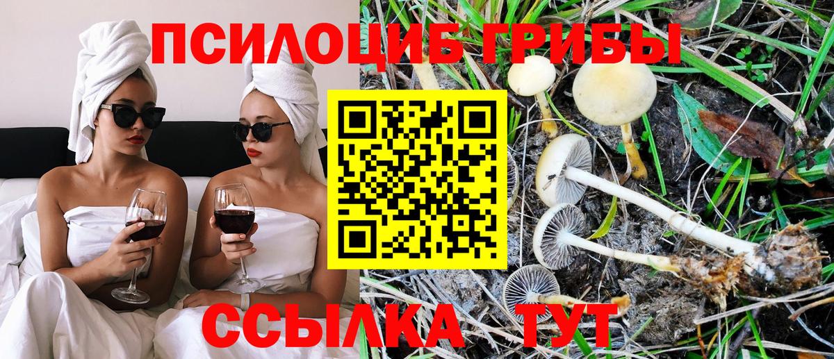 Солнечногорск  Псилоцибиновые грибы Magic Shrooms  Псилоцибиновые грибы Psilocybe  Вход с VPN 