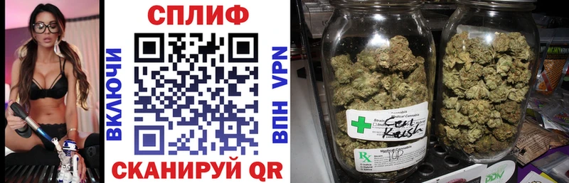 Бошки Шишки семена  купить наркотики сайты  Солнечногорск 